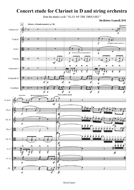  Concert etude for Clarinet in D and string orchestra
