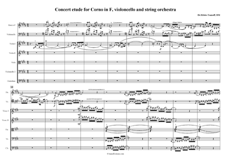 Concert etude for Horn in F, violoncello and string orchestra
